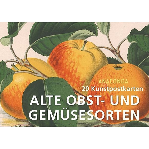 Alte Obst- und Gemüsesorten, 20 Kunstpostkarten