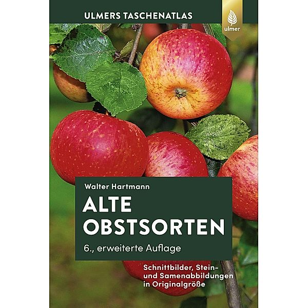 Alte Obstsorten, Walter Hartmann