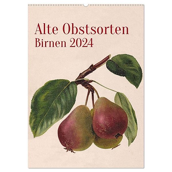 Alte Obstsorten - Birnen 2024 (Wandkalender 2024 DIN A2 hoch), CALVENDO Monatskalender, Neue Gablenzer Werkstätten und Verlag