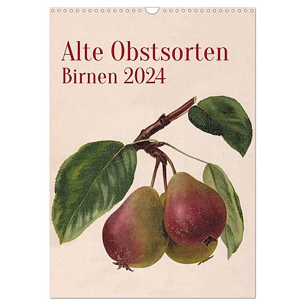 Alte Obstsorten - Birnen 2024 (Wandkalender 2024 DIN A3 hoch), CALVENDO Monatskalender, Neue Gablenzer Werkstätten und Verlag