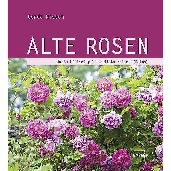 Alte Rosen, Gerda Nissen