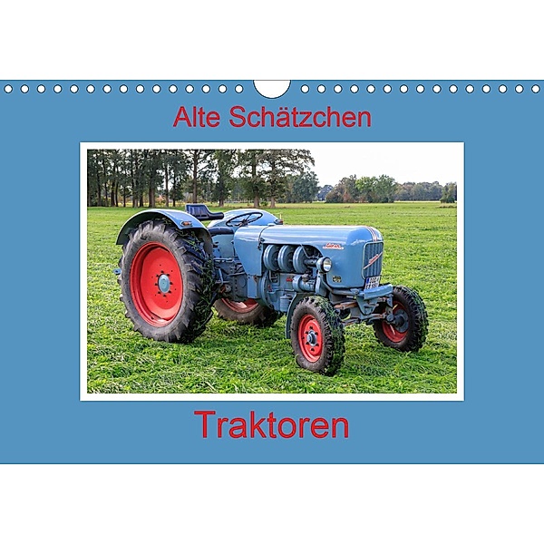 Alte Schätzchen - Traktoren (Wandkalender 2020 DIN A4 quer), Marion Maurer