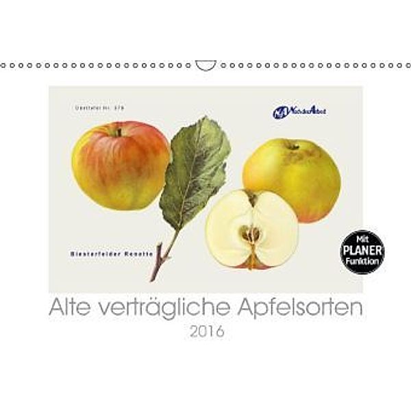 Alte verträgliche Apfelsorten (Wandkalender 2016 DIN A3 quer), Lucy M. Laube