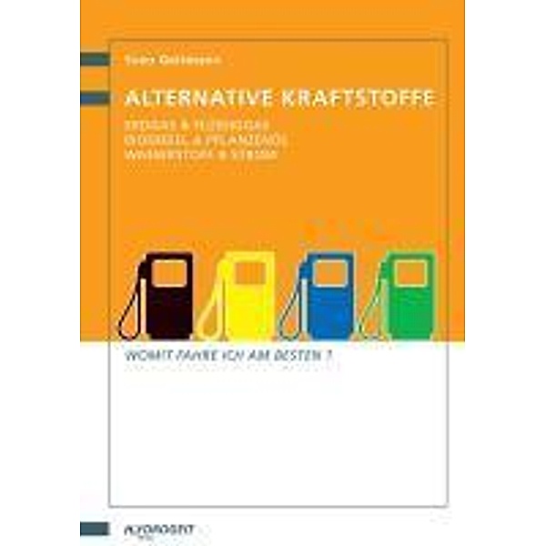 Alternative Kraftstoffe, Sven Geitmann