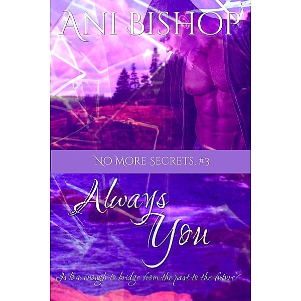 Always You (No More Secrets, #3) / No More Secrets, Ani Bishop