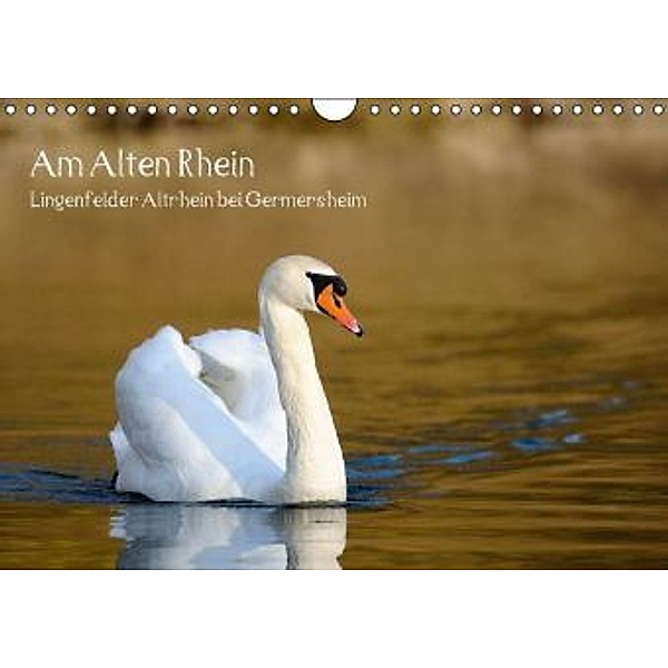 Am Alten Rhein - Lingenfelder Altrhein bei Germersheim (Wandkalender 2015 DIN A4 quer), Günter Fietz