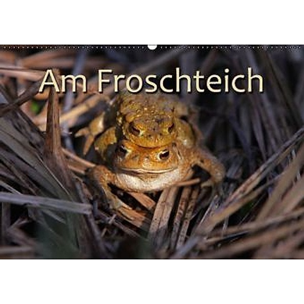 Am Froschteich / AT-Version (Wandkalender 2015 DIN A2 quer), Martina Berg