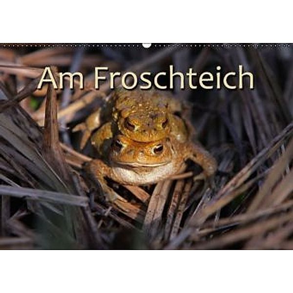 Am Froschteich / CH-Version (Wandkalender 2016 DIN A2 quer), Martina Berg