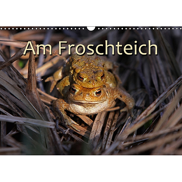 Am Froschteich / CH-Version (Wandkalender 2019 DIN A3 quer), Martina Berg
