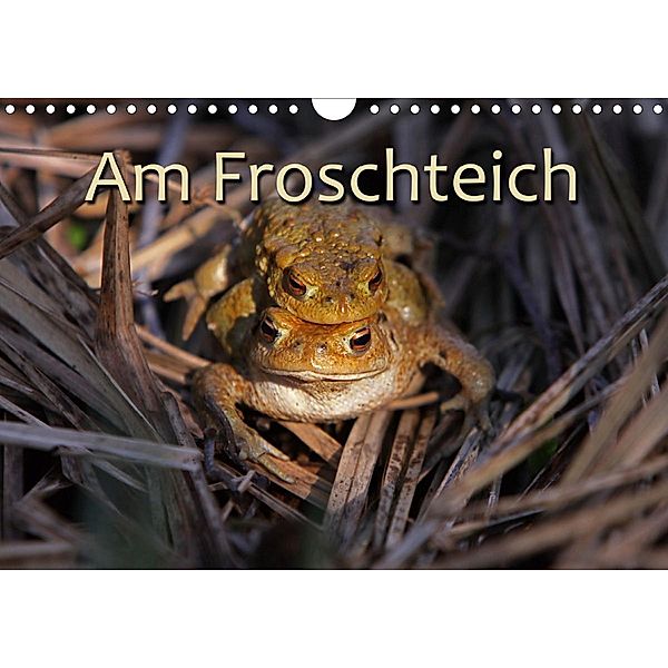 Am Froschteich (Wandkalender 2020 DIN A4 quer), Martina Berg