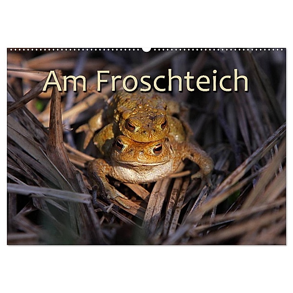 Am Froschteich (Wandkalender 2024 DIN A2 quer), CALVENDO Monatskalender, Martina Berg