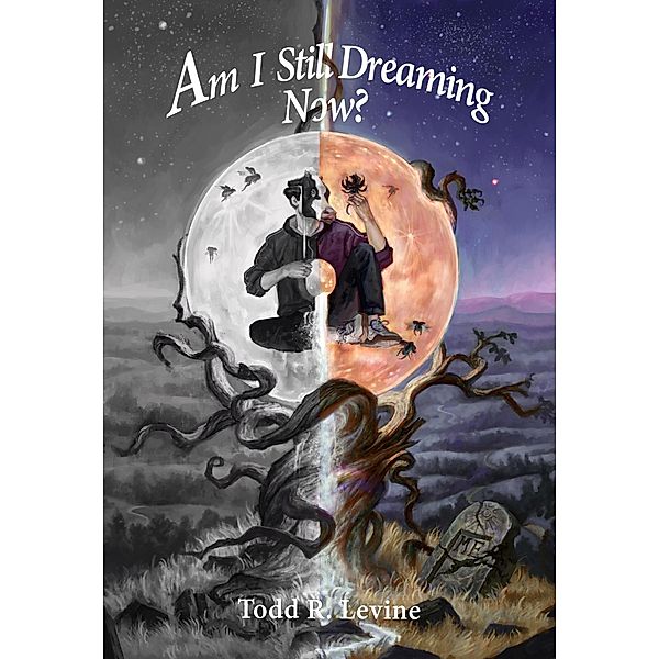 Am I Still Dreaming Now?, Todd Levine