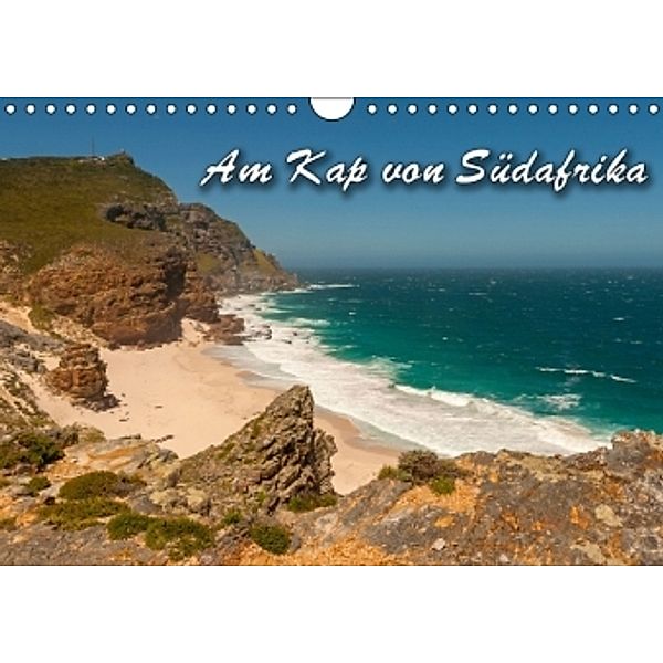 Am Kap von Südafrika (Wandkalender 2016 DIN A4 quer), Birgit Seifert