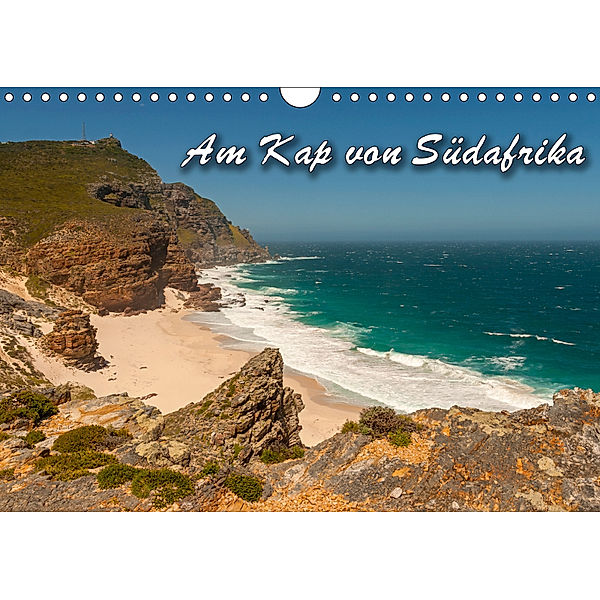 Am Kap von Südafrika (Wandkalender 2019 DIN A4 quer), Birgit Seifert