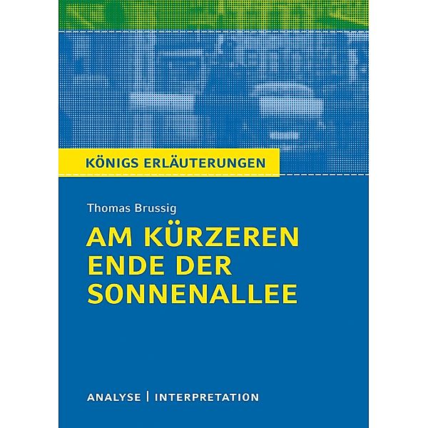 Am kürzeren Ende der Sonnenallee, Thomas Brussig