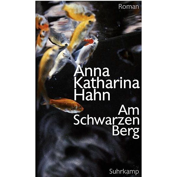 Am Schwarzen Berg, Anna Katharina Hahn