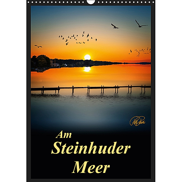 Am Steinhuder Meer / Planer (Wandkalender 2019 DIN A3 hoch), Peter Roder