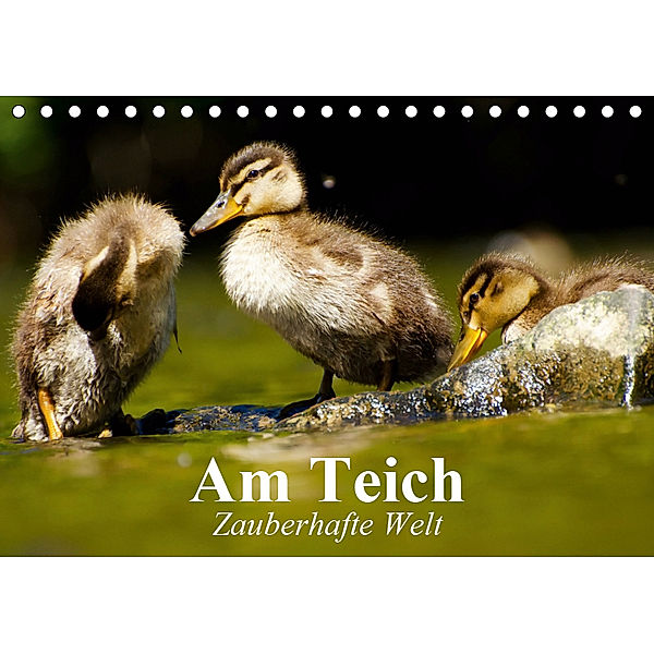 Am Teich. Zauberhafte Welt (Tischkalender 2019 DIN A5 quer), Elisabeth Stanzer