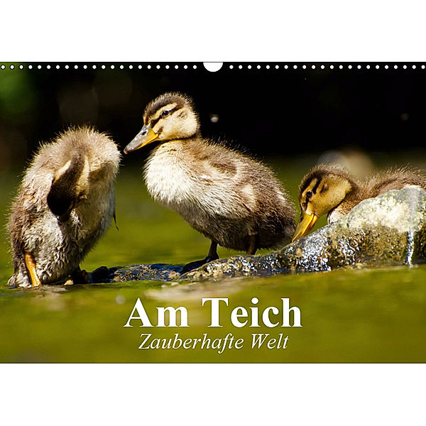 Am Teich. Zauberhafte Welt (Wandkalender 2019 DIN A3 quer), Elisabeth Stanzer