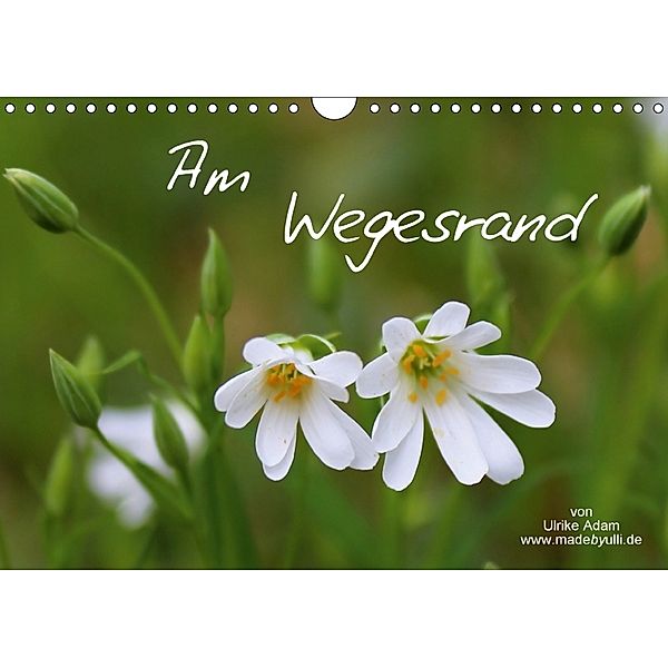 Am Wegesrand / Geburtstagskalender (Wandkalender 2018 DIN A4 quer), Ulrike Adam