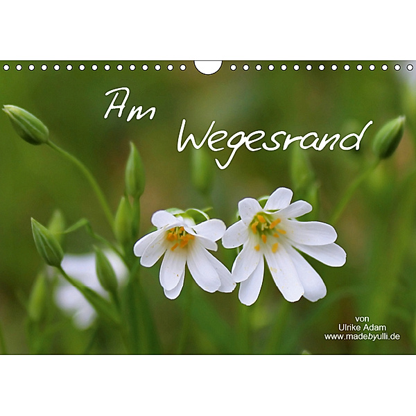 Am Wegesrand / Geburtstagskalender (Wandkalender 2019 DIN A4 quer), Ulrike Adam