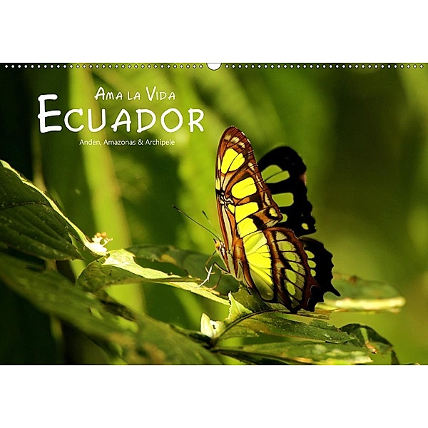 Ama la Vida Ecuador (Wandkalender 2020 DIN A2 quer), Dirk Stamm