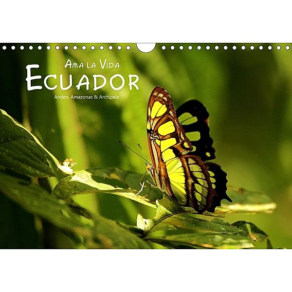 Ama la Vida Ecuador (Wandkalender 2020 DIN A4 quer), Dirk Stamm