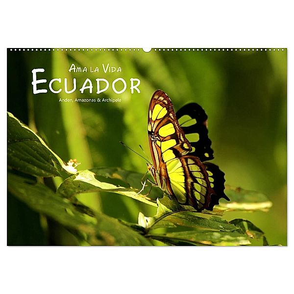 Ama la Vida Ecuador (Wandkalender 2025 DIN A2 quer), CALVENDO Monatskalender, Calvendo, Dirk Stamm