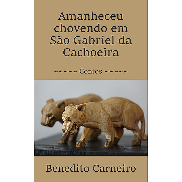 Amanheceu chovendo em São Gabriel da Cachoeira, Benedito Carneiro