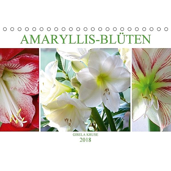 Amaryllis-Blüten (Tischkalender 2018 DIN A5 quer), Gisela Kruse