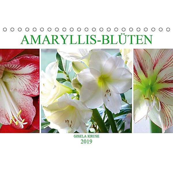 Amaryllis-Blüten (Tischkalender 2019 DIN A5 quer), Gisela Kruse