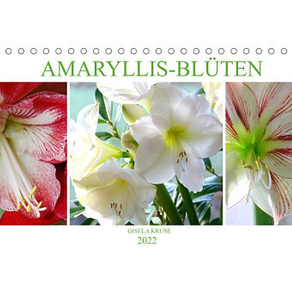 Amaryllis-Blüten (Tischkalender 2022 DIN A5 quer), Gisela Kruse