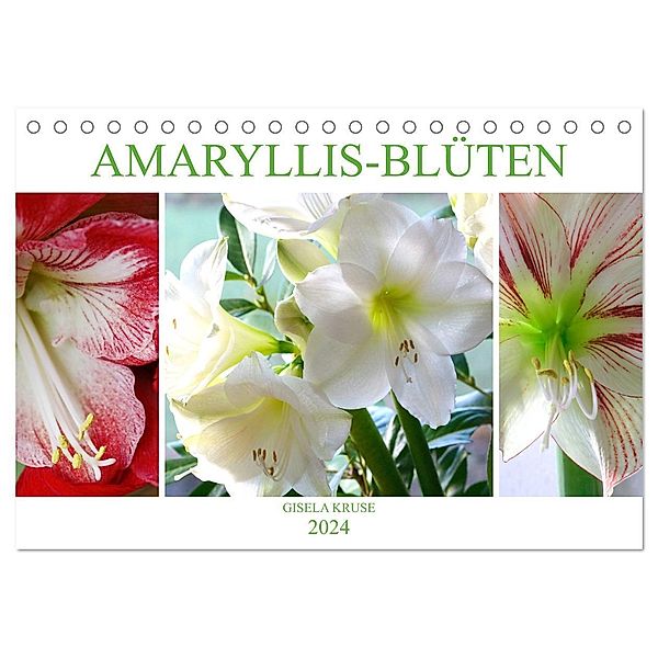 Amaryllis-Blüten (Tischkalender 2024 DIN A5 quer), CALVENDO Monatskalender, Gisela Kruse