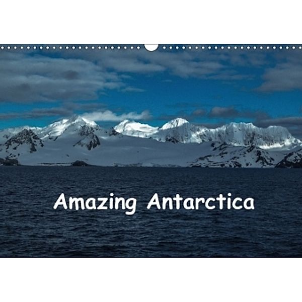 Amazing Antarctica (Wall Calendar 2017 DIN A3 Landscape), Sharon Poole