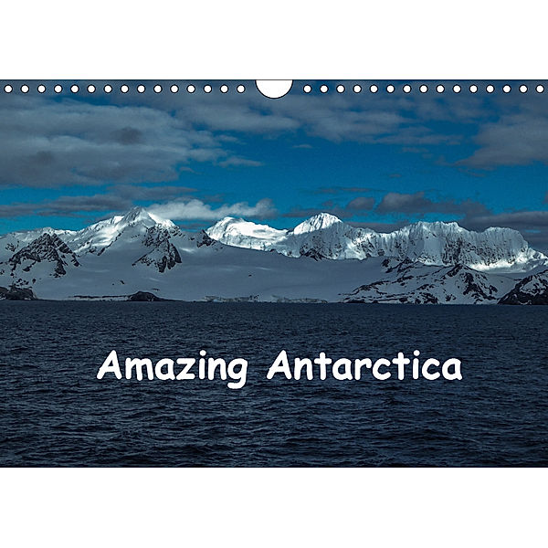 Amazing Antarctica (Wall Calendar 2019 DIN A4 Landscape), Sharon Poole