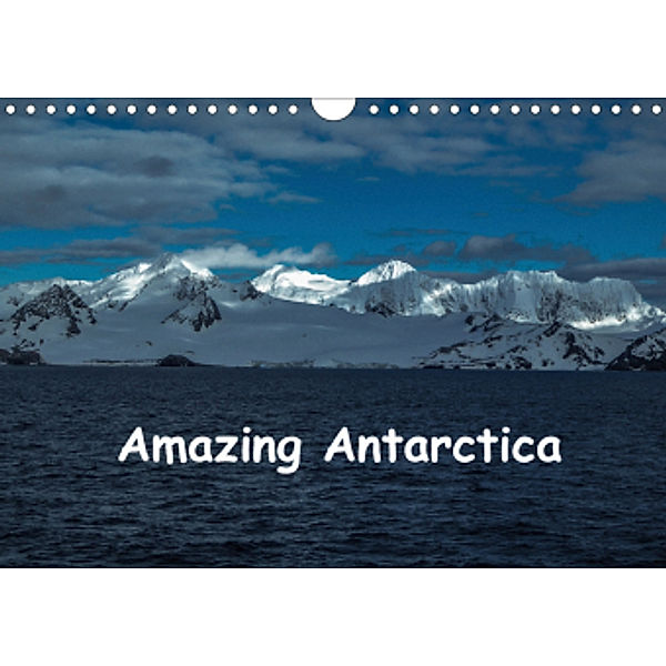 Amazing Antarctica (Wall Calendar 2021 DIN A4 Landscape), Sharon Poole