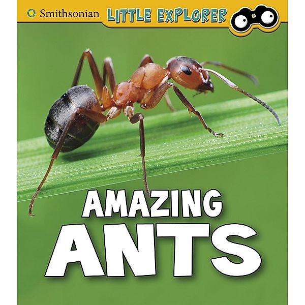 Amazing Ants, Megan Cooley Peterson