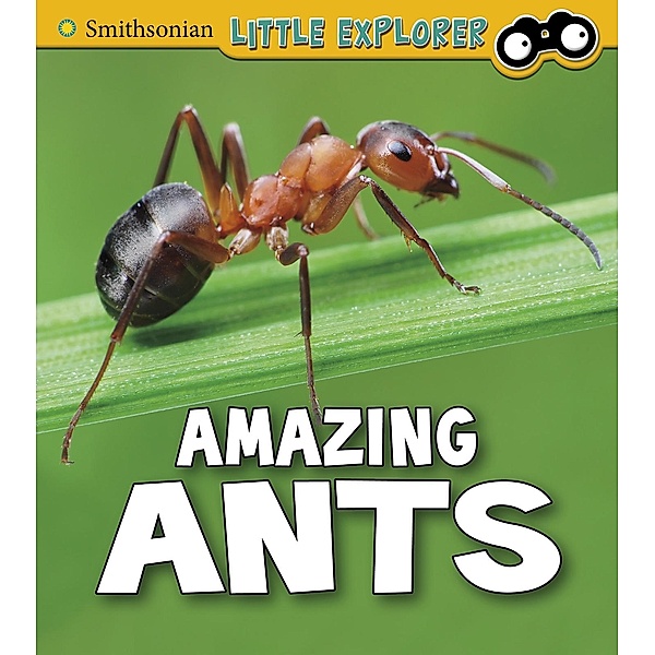 Amazing Ants, Megan Cooley Peterson