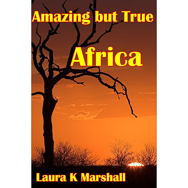 Amazing but True: Amazing but True: Africa Adventure Book 1, Laura K Marshall