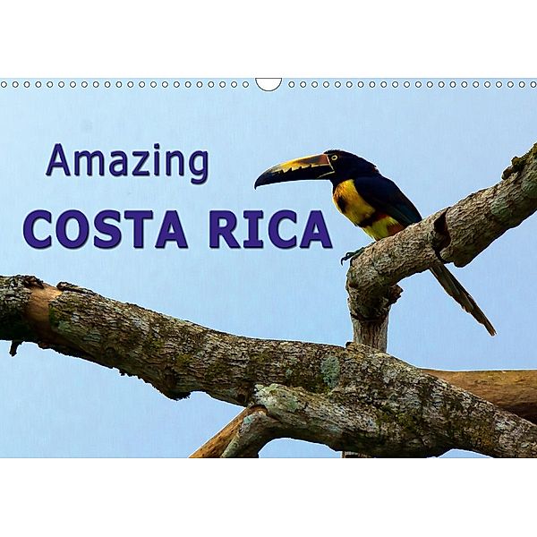 Amazing Costa Rica (Wall Calendar 2021 DIN A3 Landscape), Andreas Schoen