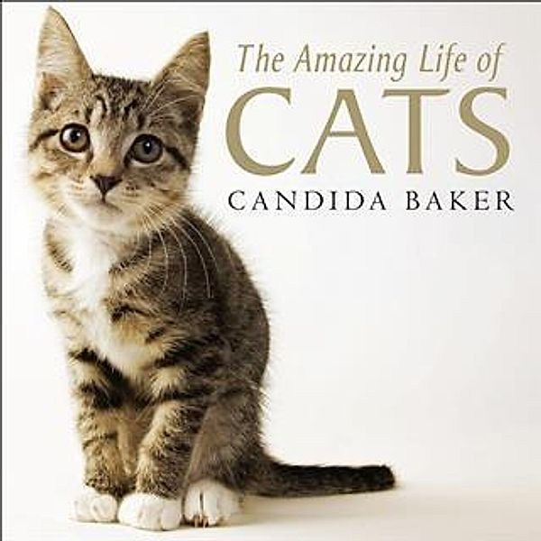 Amazing Life of Cats, Candida Baker