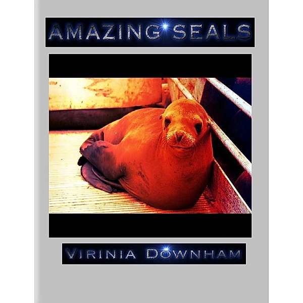Amazing Seals, Virinia Downham