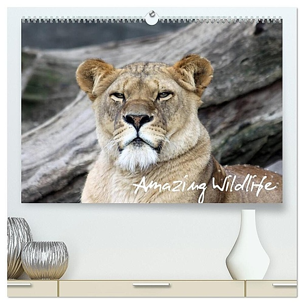 Amazing Wildlife (hochwertiger Premium Wandkalender 2024 DIN A2 quer), Kunstdruck in Hochglanz, Andreas Hebbel-Seeger