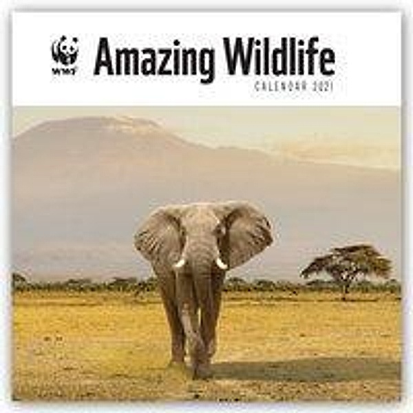 Amazing Wildlife - Wundervolle Wildtiere 2021, Carousel Calendars