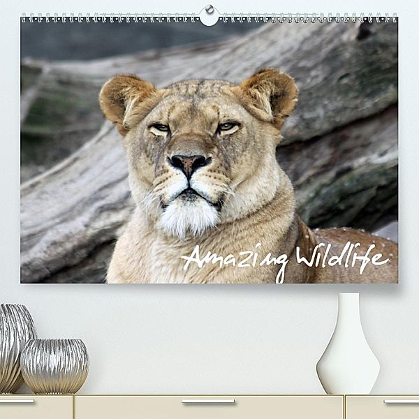 Amazing Wildlife(Premium, hochwertiger DIN A2 Wandkalender 2020, Kunstdruck in Hochglanz), Andreas Hebbel-Seeger