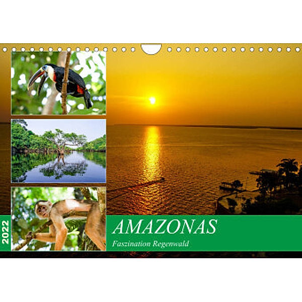 Amazonas - Faszination Regenwald (Wandkalender 2022 DIN A4 quer), Markus Nawrocki