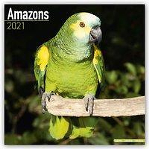 Amazons - Amazonenpapageien 2021, Avonside Publishing