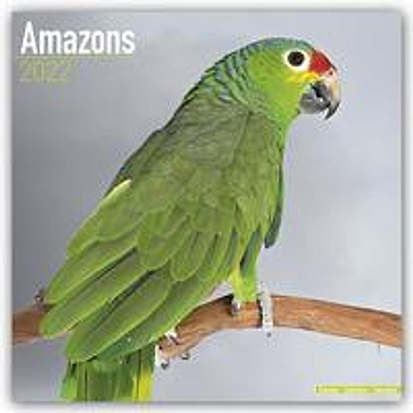 Amazons - Amazonenpapageien 2022 - 16-Monatskalender, Avonside Publishing Ltd