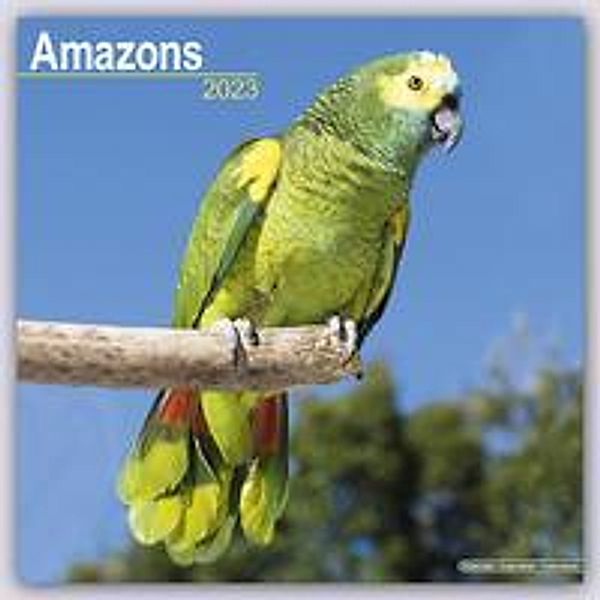 Amazons - Amazonenpapageien 2023 - 16-Monatskalender, Avonside Publishing Ltd