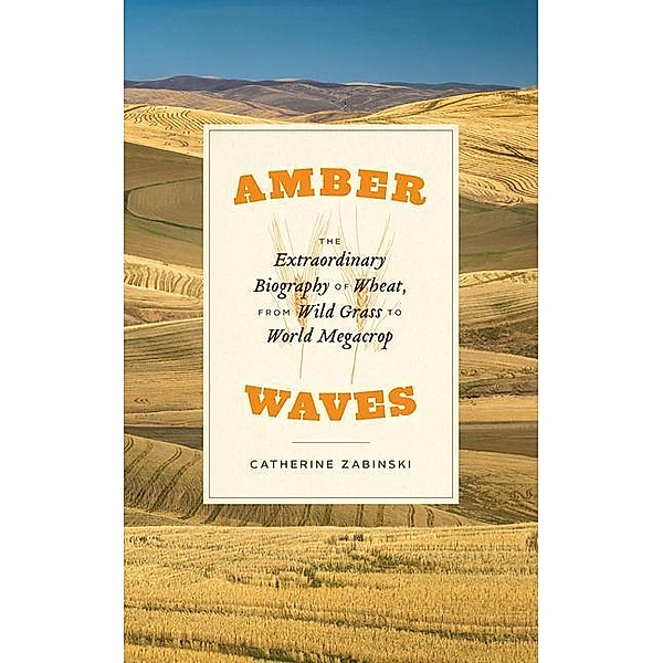 Amber Waves, Catherine Zabinski